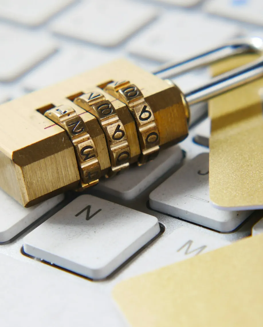 Web Sitesi Güvenliği: Küçük İşletmeler İçin Temel Önlemler